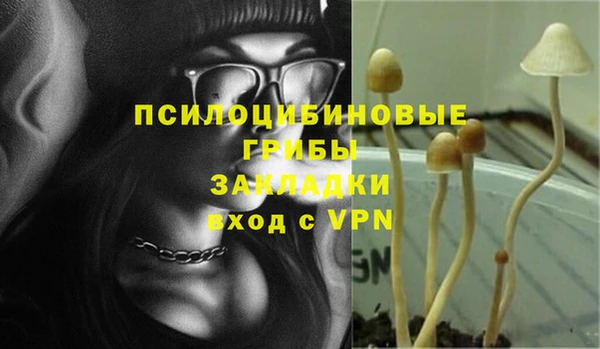 мяу мяу мука Абаза
