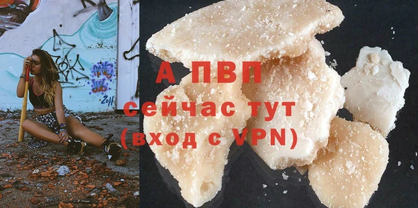 мяу мяу мука Абаза