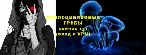 ECSTASY Абинск